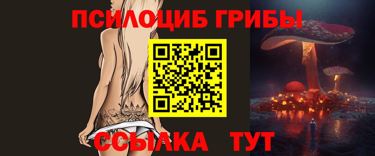 Галлюциногенные грибы MAGIC MUSHROOMS  Вход с VPN  Алексин 